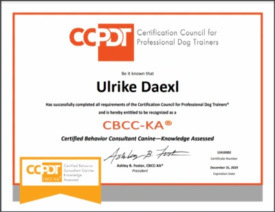 Onlinekurs CSAT Spezialisierung