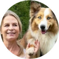 Trennungsangst - Dein Hund kann nicht allein bleiben - Online Coaching