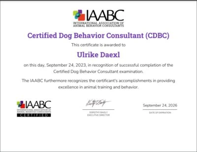 spezialisierte Zertifikate